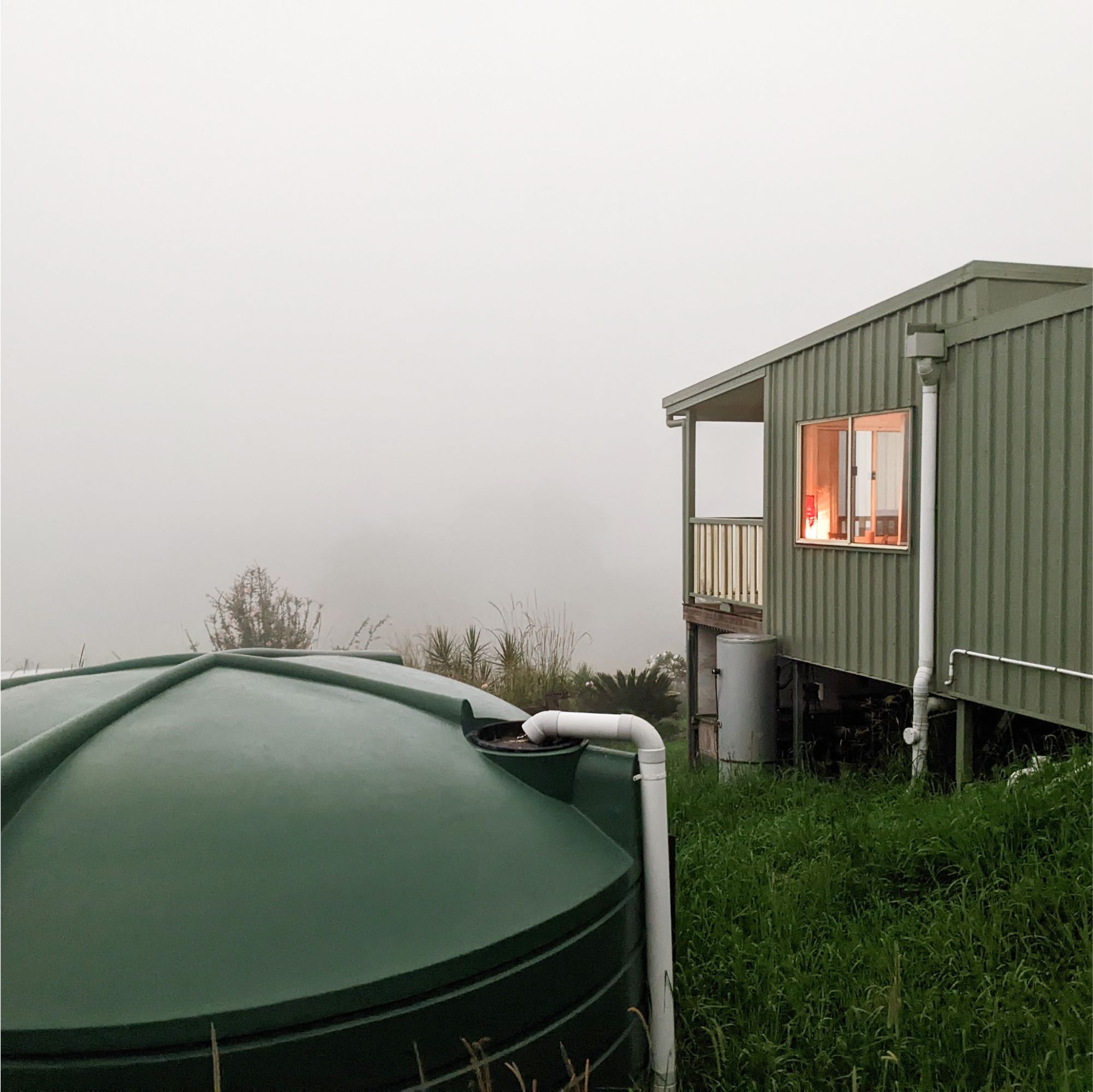 The Shedhouse - side view in the fog