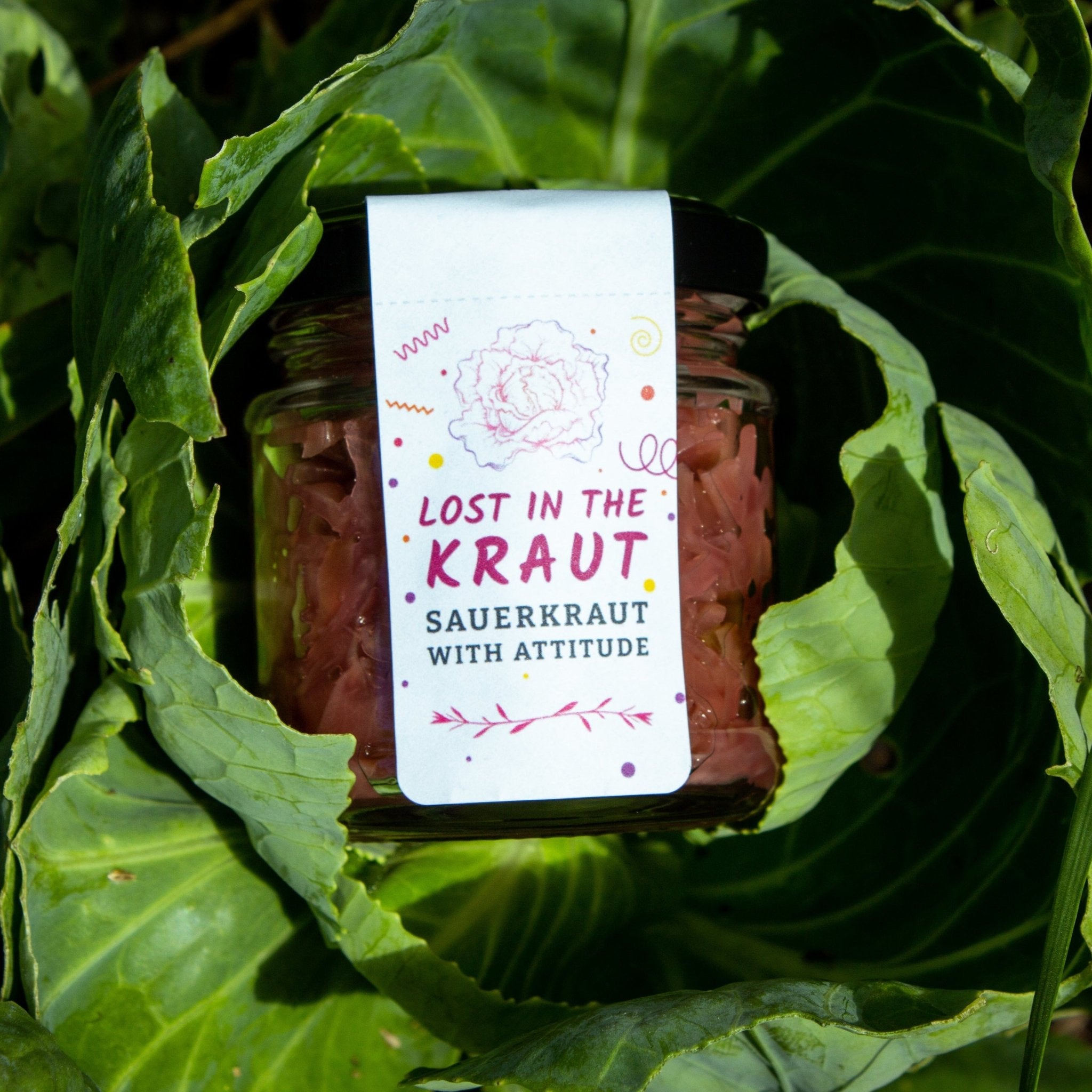 Lost in the Kraut - Shedhouse Farm